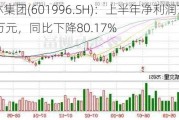 丰林集团(601996.SH)：上半年净利润702.22万元，同比下降80.17%