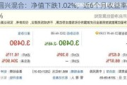 工银圆兴混合：净值下跌1.02%，近6个月收益率为-3.29%