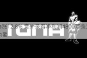 Carvana涨12.8% 意外录得净利润4800万美元 同比扭亏为盈