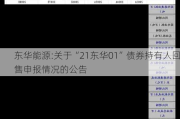 东华能源:关于“21东华01”债券持有人回售申报情况的公告