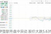 伊登软件盘中异动 股价大跌5.63%