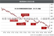 标普 500 指数下跌：科技巨头走低，小盘股等上扬