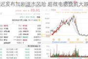 财报推迟发布加剧退市风险 超微电脑盘前大跌近19%