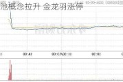 固态电池概念拉升 金龙羽涨停