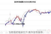 生物医药板块拉升 南华生物涨停