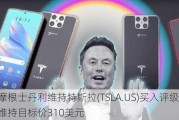 摩根士丹利维持特斯拉(TSLA.US)买入评级，维持目标价310美元