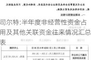 司尔特:半年度非经营性资金占用及其他关联资金往来情况汇总表