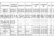 淳中科技(603516.SH)2023年度每10股派1元 股权登记日为6月3日