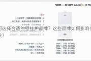 如何选择合适的壁挂炉品牌？这些品牌如何影响供暖效果？