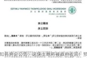 知名房企公告：这块土地将被政府收回！预计因此入账31亿港元利润