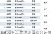 上海航交所：中国沿海综合运价指数下跌1.0%，报收969.19点