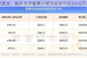 ST鼎龙：股东龙学勤累计被冻结股份约3310万股