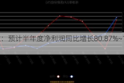 海能达：预计半年度净利润同比增长80.87%~119.62%