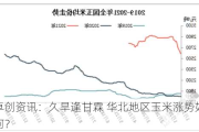 卓创资讯：久旱逢甘霖 华北地区玉米涨势如何？