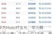 华为MateXT发布，华为概念股火爆！这家公司2连板，最新公告：实控人可能会变更