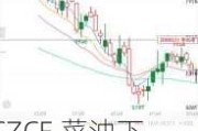 CZCE 菜油下跌，DCE 豆油高开低走，棕油出口或受影响