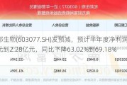 和邦生物(603077.SH)发预减，预计半年度净利润1.9亿元到2.28亿元，同比下降63.02%到69.18%