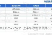 浙江美大(002677.SZ)：上半年净利润预降53.23%-55.98%