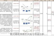 鞍式期权策略的风险与收益分析