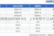 安阳钢铁(600569.SH)：上半年预亏12.6亿元左右