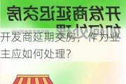 开发商延期交房，作为业主应如何处理？