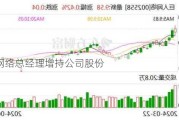 巨人网络总经理增持公司股份