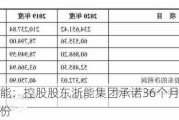 浙江新能：控股股东浙能集团承诺36个月内不减持公司股份