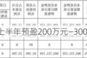 兆新股份：上半年预盈200万元―300万元 同比扭亏