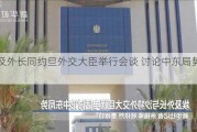 埃及外长同约旦外交大臣举行会谈 讨论中东局势问题