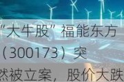 “大牛股”福能东方（300173）突然被立案，股价大跌超15%！3个月暴涨150%，股民索赔征集中