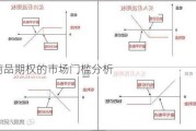 商品期权的市场门槛分析