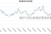 8月11日山东临沂花生价格行情