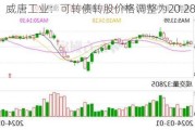 威唐工业：可转债转股价格调整为20.28元/股