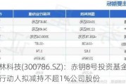 国林科技(300786.SZ)：赤钥8号投资基金及其一致行动人拟减持不超1%公司股份