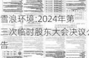 雪浪环境:2024年第三次临时股东大会决议公告