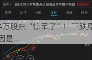 4万股东“惊呆了”！下跌原因是...