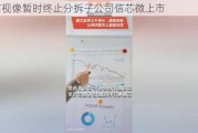 海信视像暂时终止分拆子公司信芯微上市