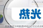 双良集团与阿联酋MMEC公司达成战略合作