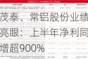 永茂泰、常铝股份业绩预告亮眼：上半年净利同比预增超900%