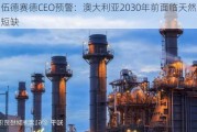 伍德赛德CEO预警：澳大利亚2030年前面临天然气短缺