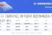 寒武纪-U（688256）盘中异动 股价振幅达8.78%  上涨7%（07-31）