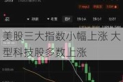 美股三大指数小幅上涨 大型科技股多数上涨