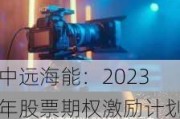 中远海能：2023年股票期权激励计划首次授予的2230.96万份股票期权完成登记