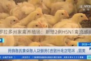 科罗拉多州家禽养殖场：新增2例H5N1禽流感病例