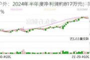 三夫户外：2024年半年度净利润约817万元，同比下降27.93%