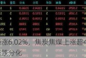 油菜籽领涨6.02%，焦炭焦煤上涨超4%：主力合约涨跌分化