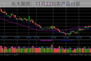 光大期货：11月22日农产品日报