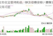 傲农生物收监管问询函，涉及偿债安排、募集资金使用情况等问题