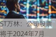 ST万林：公司股票将于2024年7月30日（星期二）开市起复牌并撤销其他风险警示