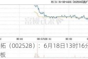 ST英飞拓（002528）：6月18日13时16分触及涨停板